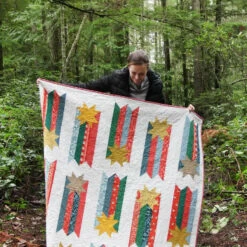 MODA Wish Quilt Pattern By Cluck Cluck Sew -Alibabette shop IMG 8815