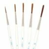 Cheap Joe's Frank Webb Liner Brush Set -Alibabette shop cjwl set