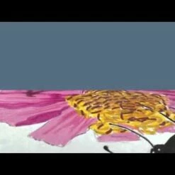 Canson XL Pads -Alibabette shop hqdefault 21 19