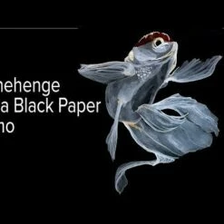 Stonehenge Aqua Black Watercolor Paper -Alibabette shop hqdefault 9 4