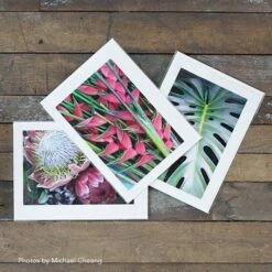 Strathmore Photo Mount And Photo Frame Cards -Alibabette shop mgps 5405m pm pf 1