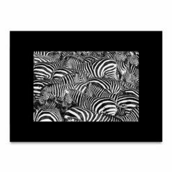 Strathmore Photo Mount And Photo Frame Cards -Alibabette shop mgps 5405m pm pf 2