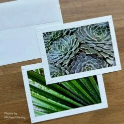 Strathmore Photo Mount And Photo Frame Cards -Alibabette shop mgps 5405m pm pf 2